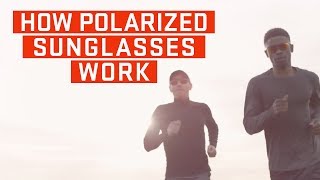 How Polarized Sunglasses Work [upl. by Gothurd540]