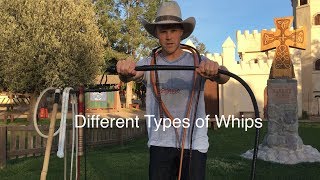 Types of Whips a Comparison [upl. by Jacobba]