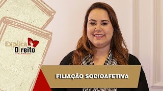 Explica Direito Filiação Socioafetiva  2019 [upl. by Patrick]