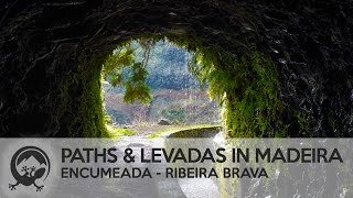 Best Levada Walk in Madeira Dangerous Encumeada  Ribeira Brava [upl. by Deeann979]