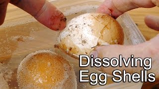 Egg Shell Science Experiment  Dissolves in Vinegar [upl. by Velleman]