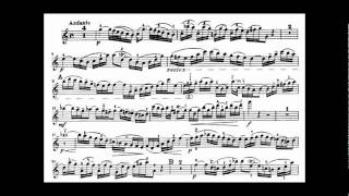 Bach JS violin concerto in A minor BWV 1041 [upl. by Walton]