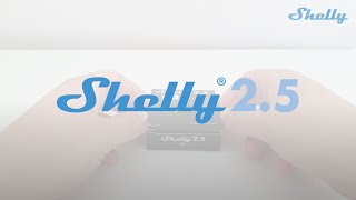 Shelly How to  Shelly 2 5 [upl. by Enirual263]