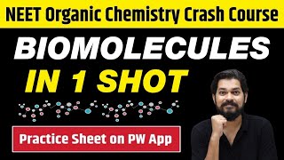 BIOMOLECULES in One Shot  All Concepts Tricks amp PYQs  Class 12  NEET [upl. by Jat]