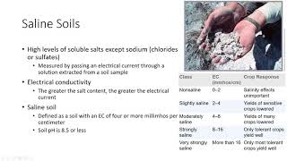 Soil Salinity [upl. by Gunilla]