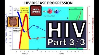 HIV Pathophysiology 33  Disease Progression [upl. by Munniks]