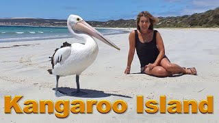 Kangaroo Island The Best things to see South Australia [upl. by Celin]