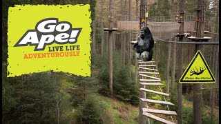 Go Ape Tree Top Adventure  Delamere Forest [upl. by Mingche34]