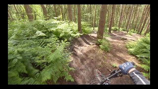 Delamere Forest  MTB Jump Lines [upl. by Alfreda190]