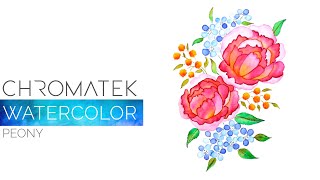 Watercolor Peony with Chromatek Watercolor Brush Pens [upl. by Arrahs122]