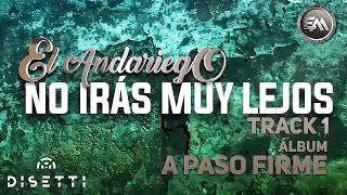 El Andariego  No Irás Muy Lejos  Música Popular [upl. by Lucienne]