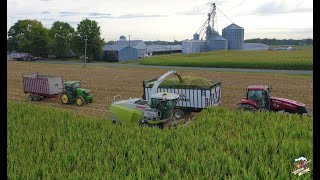 2020 Corn Silage Harvest at Congress Lake Farms [upl. by Obelia]