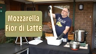 How to Make Real Mozzarella At Home [upl. by Adlei339]