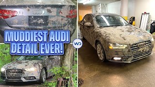 Deep Cleaning The Muddiest Audi A4 EVER  Insane Satisfying DISASTER Detail Transformation [upl. by Ettenhoj421]