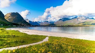 Uplifting Music  light positive happy music Gullrosøya  1 hour [upl. by Yorgo397]