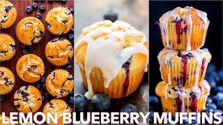 Easy Lemon Blueberry Muffins Recipe [upl. by Cooperman185]