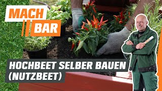 Hochbeet selber bauen Nutzbeet  OBI [upl. by Atinuhs]