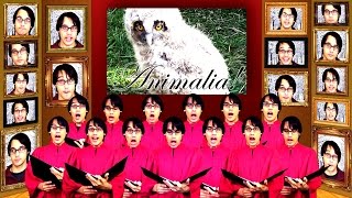 Animalia Chorus  A Capella Science [upl. by Say195]