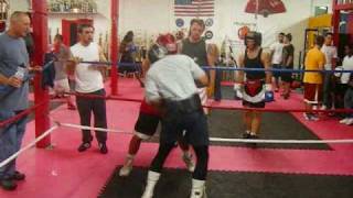 Boxing  Amateur vs Professional Sparring [upl. by Keeryt]