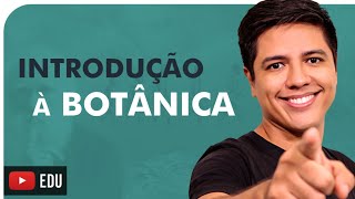 INTRODUÇÃO À BOTÂNICA  Briófitas Pteridófitas Gimnospermas e Angiospermas  Prof Kennedy Ramos [upl. by Garibull]