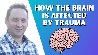 How The Brain Is Affected by Trauma [upl. by Dode175]