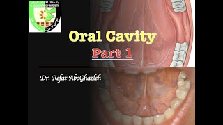 Oral Cavity  Part 1 [upl. by Athiste]