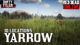 Yarrow RDR2 Locations for Daily Challenges Red Dead Online [upl. by Lexa799]