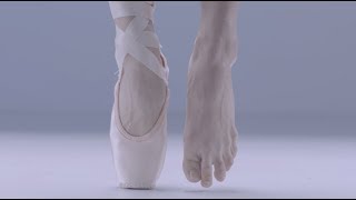 Ballet Anatomy Feet [upl. by Kozloski]