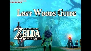 LOST WOODS GUIDE  Zelda Breath of the Wild [upl. by Nyleikcaj352]