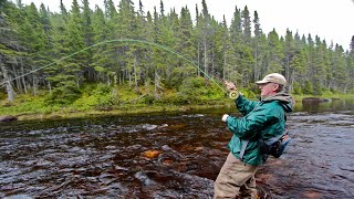 Steelhead amp Salmon on a Fly  How To [upl. by Lyrrehs]