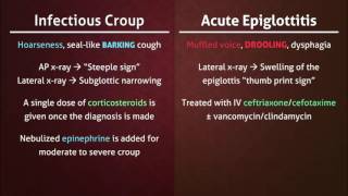 Infectious Croup vs Acute Epiglottitis [upl. by Lucine]