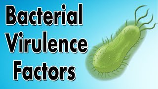 Bacterial Virulence Factors [upl. by Noah338]