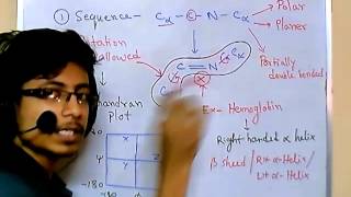 Peptide bond [upl. by Salakcin]