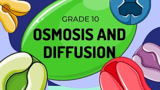 Diffusion and Osmosis [upl. by Roleat]