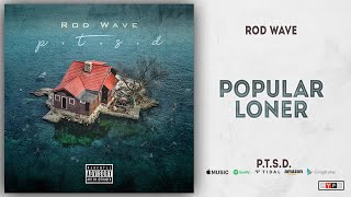 Rod Wave  Popular Loner PTSD [upl. by Janus]