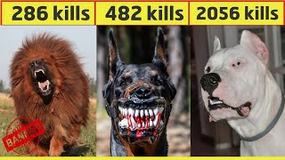 10 Most Dangerous Dog Breeds In The World In UrduHindi  Largest Dog Breed  Pet dogs [upl. by Herodias]