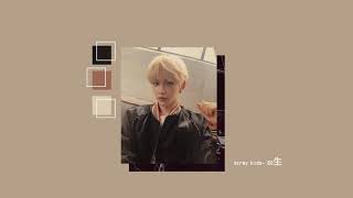 1시간 1 HOUR LOOP Stray Kids quot神메뉴quot Gods Menu [upl. by Zosi]