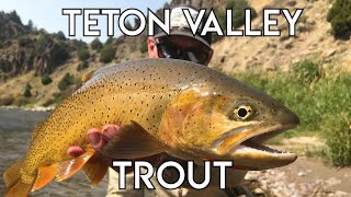 Teton Valley Trout  Ultimate Idaho Fly Fishing [upl. by Glenine733]