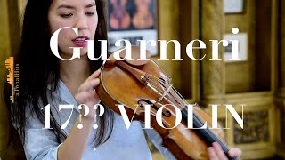 Guarneri Violin 17 [upl. by Nywde]