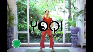 Qigong for Beginners [upl. by Westfahl180]