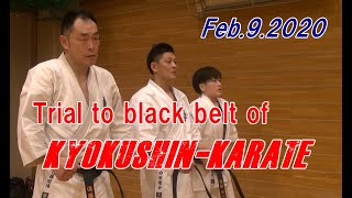 Trial to black belt of Kyokushin Karate [upl. by Saltzman820]