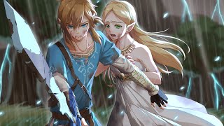 Zelda x Link [upl. by Saenihp]