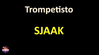 Sjaak  Trompetisto Lyrics version [upl. by Grosz]