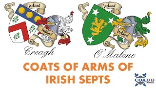 Irish Family Crest Not AngloIrish [upl. by Ahsienel]