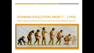 Hominin Evolution Part 1 The First 5 Million Years [upl. by Yraeht]