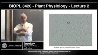 BIOPL3420  Plant Physiology  Lecture 2 [upl. by Irwinn]