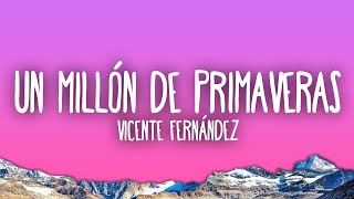 Vicente Fernández  Un Millón de Primaveras [upl. by Nimocks]