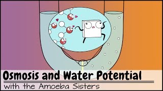 Osmosis and Water Potential Updated [upl. by Amapuna]