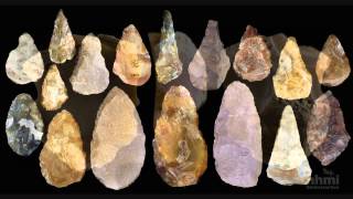 Stone Tool Technology of Our Human Ancestors — HHMI BioInteractive Video [upl. by Conner700]