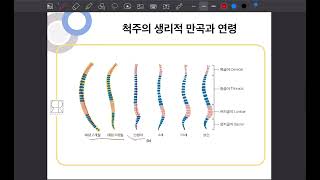 발목 기능해부학 강의 스틸컷 [upl. by Anderea]